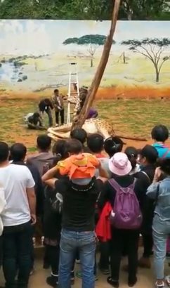 Giraffe Accidentally Kills Itself While Trying to Scratch An Itch [Photos]