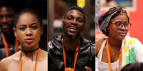 #BBNaija: Alex, Nina and Tobi make it to the Finals