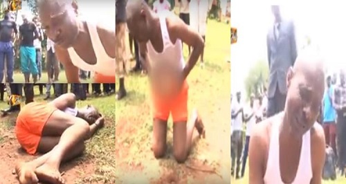 Maggots Ooze Out of Randy Houseboy’s Penis After He Slept with His Employer’s Wife [Video]