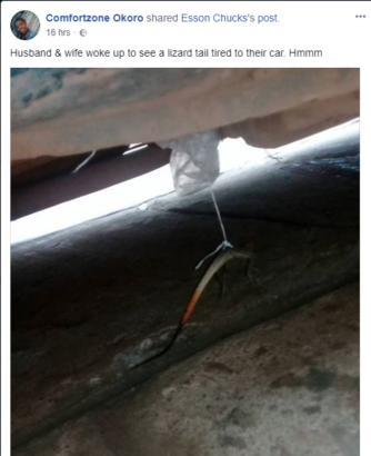 Shocked Lady, Shares Photo Of Lizard Tied To Her Husband’s Car Overnight [photos]