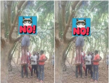 Man hangs himself in Abuja [graphic photo]
