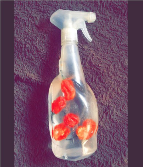 Nigeria Police Warns Against Use Of Pepper Spray, Calls It Illegal