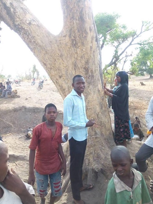 Tree Becomes Center of Attention in Borno. See Why [Photos]