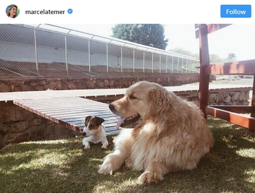 Brazilian First Lady Jumps into the Lake to Rescue Drowning Dog at Presidential Palace [Photos]