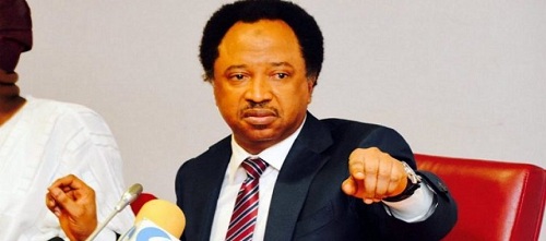 Ruling Party, APC, Reacts To Resignation of Shehu Sani from Party