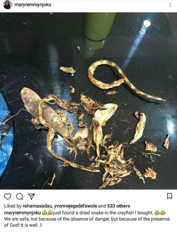 Actress Mary Remmy Finds Dried Snake In Crayfish She Bought