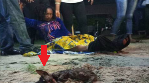 Serious Surprise As Woman Gives Birth To Live Cat In Delta Church [See Photos]