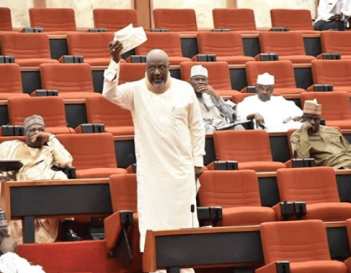 “Dino Melaye Should Have A Proper Mental Evaluation before Being Allowed Back Into The Senate” – Lauretta Onochie