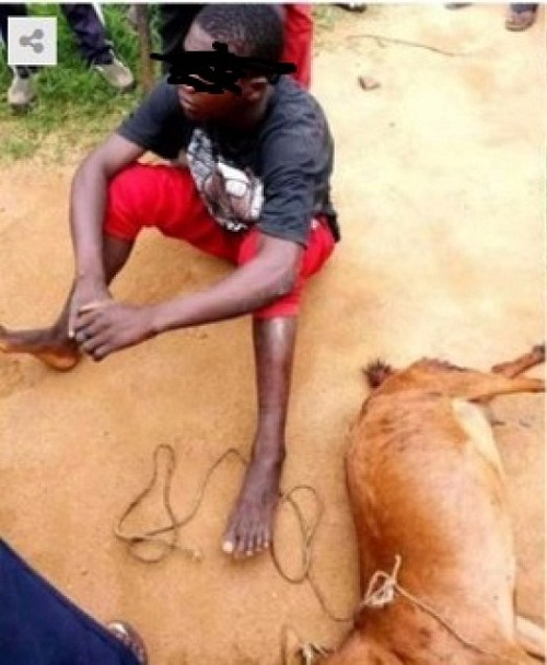 Man Disgraced In Public For Reportedly R*P Ing Goat To Death [Photos]