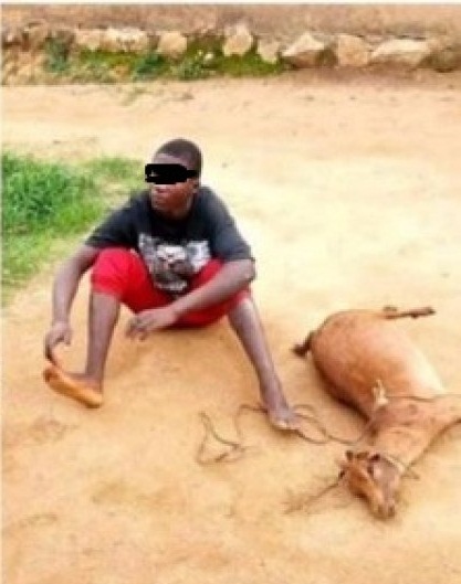 Man Disgraced In Public For Reportedly R*P Ing Goat To Death [Photos]