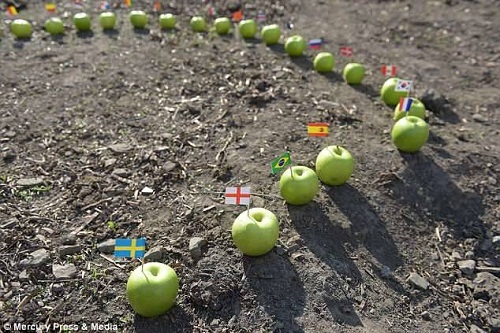 Russia 2018: Psychic Pig Who Accurately Predicted Trump’s Victory Picks Nigeria, Argentina for Semi-Final