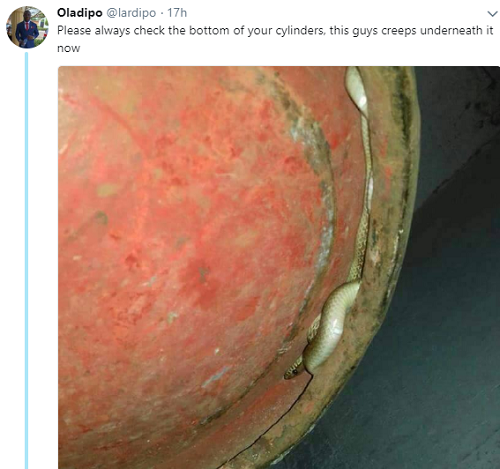Twitter User Finds Snake Hidden Under His Gas Cylinder [Photo]