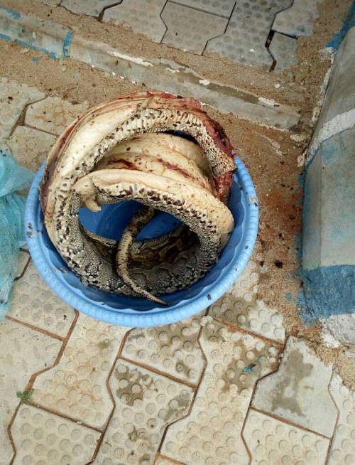 You Need To See What A Nigerian Soldier Did To A Huge Snake That Bit Him [Photos]
