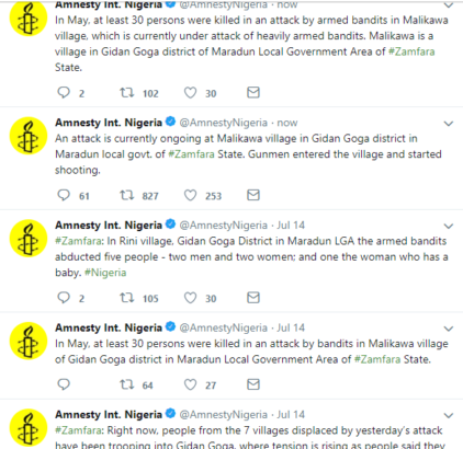 Armed Bandits Currently Attacking Gidan Goga District Of Zamfara – Amnesty [Photos]
