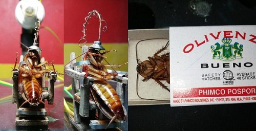 Angry Artist Executes Cockroach In Electric Chair For Entering His Work Studio [Photos]