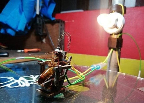 Angry Artist Executes Cockroach In Electric Chair For Entering His Work Studio [Photos]