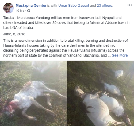 Suspected Militia Group Storms Taraba State, Kills Over 30 Cows, Displace Fulanis in the State [Photos]