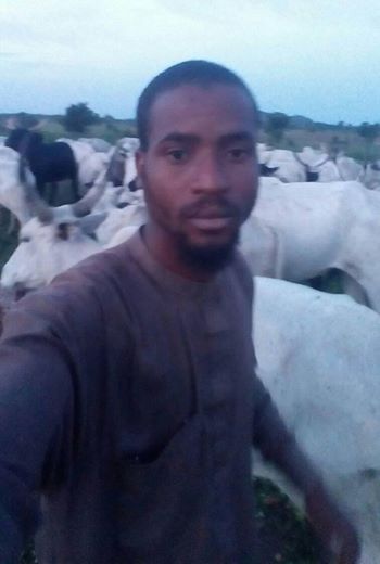 “I Value My 300 Cows Much Better Than 3,000,000 Useless Peoples” – UNIMAID Graduate, Says