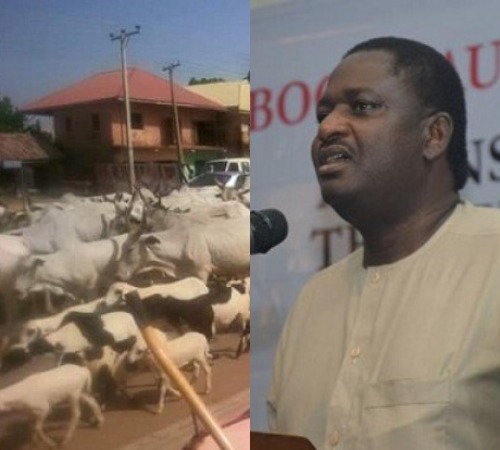 BOMBSHELL!!! “Giving Out Your Lands to Fulani Herdsmen for Ranching Is Better Than Death” – Femi Adesina