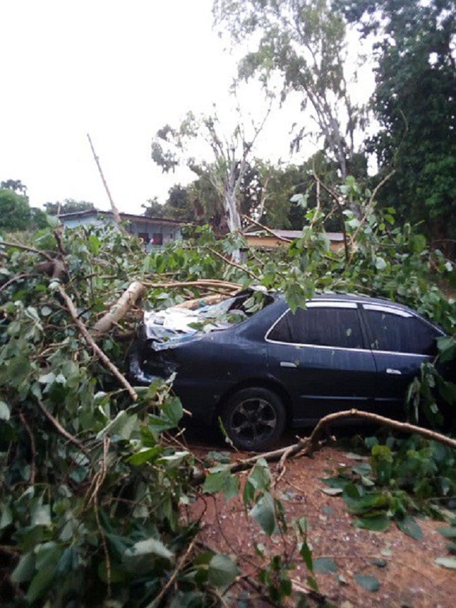 Hon. Kabiru Ibrahim Dallah, Lawmaker from Nasarawa Escapes Death after a Huge Tree Fell On His Vehicle [Photos]