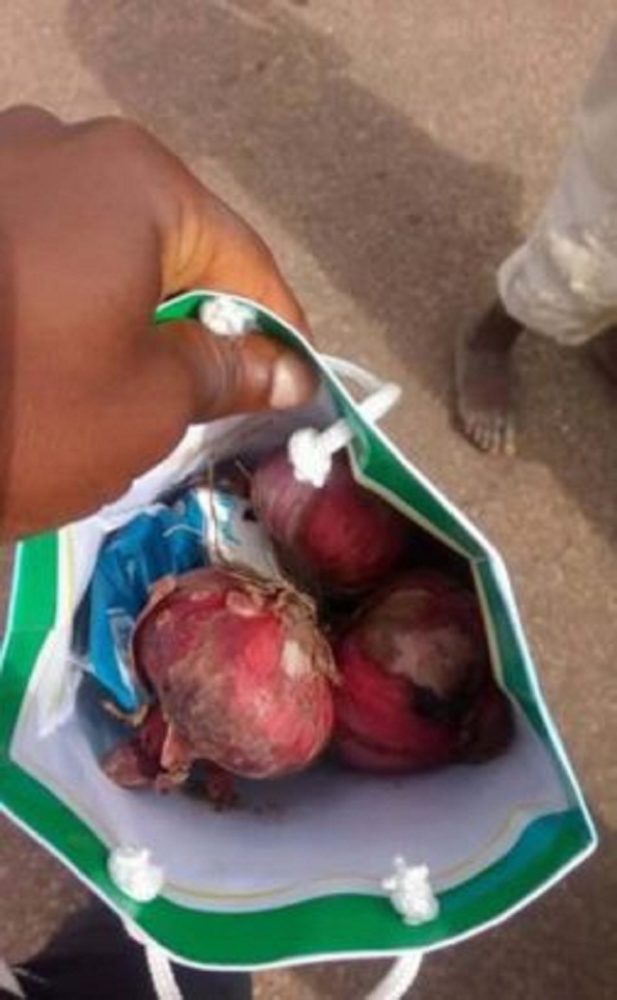 3 onions shared to voters by politicians in Kogi bye-election [Photos]