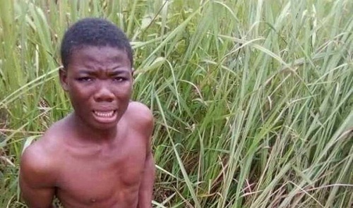 Man Caught Pants Down While Having 8 Rounds of Cex with A Goat [Photo]