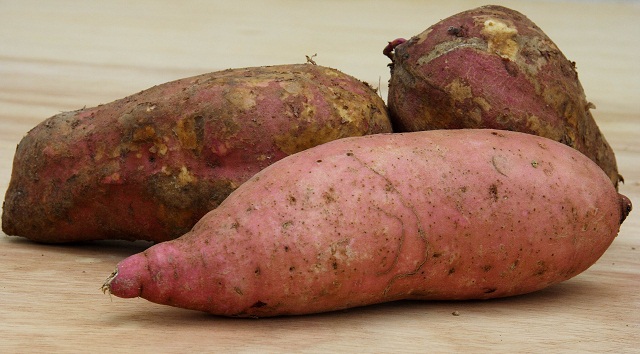 Ladies, Here Are 4 Foods Your Vagina Wants You to Start Eating From Today