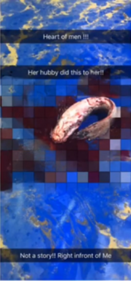 UNBELIEVABLE! Nigerian Lady gives birth to a catfish in Church [photos]