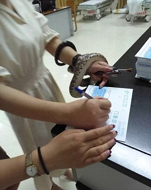 See What This Brave Woman Did To A SNAKE That Bit Her [Photos]