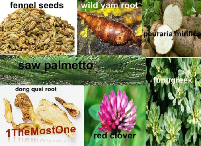 4 Natural Ways to Increase Your Breast Size without Surgery 2018