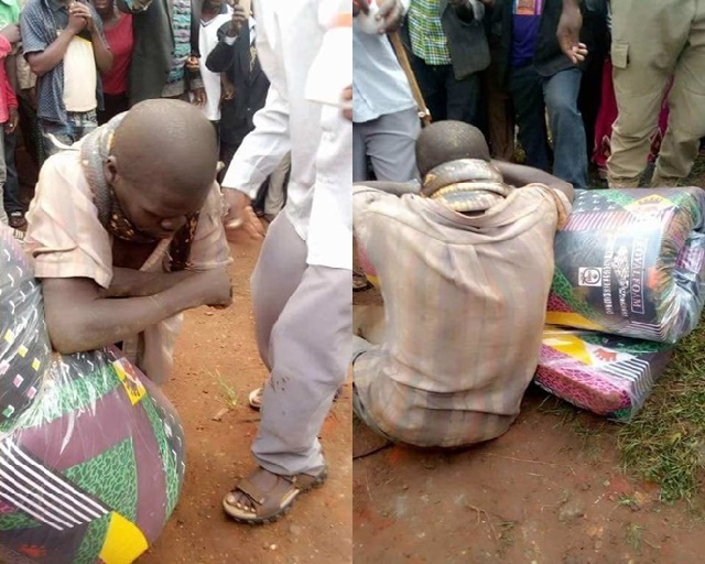 More Photos of a Man “Arrested” By Snake after Stealing a Mattress