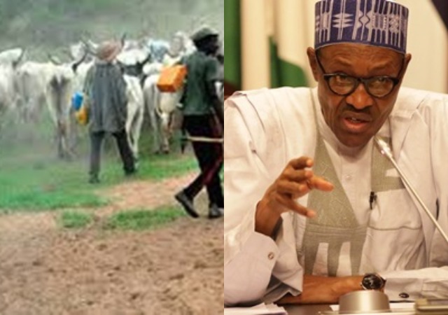 Finally, Buhari Reveals Real Reasons Why Herdsmen and Farmers Clash