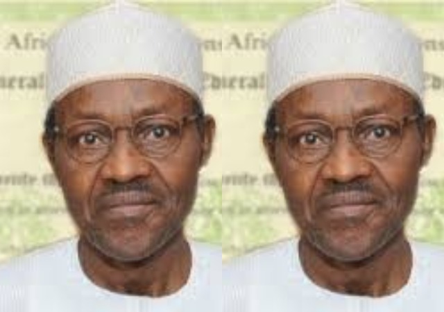 'Complaining Of Buhari's Certificate Shows That Nigerians and PDP Idle' – Presidency
