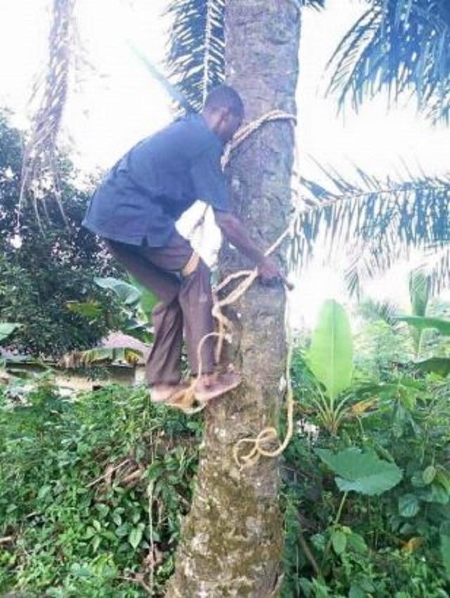 Photos of Vice Chairman of Uyo LGA As He Empowers Constituents with Bicycles and Palm Tree Ropes