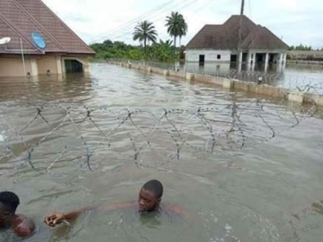 Residents Swims to Their various Houses as Flood Takes over Delta Communities [Photos]