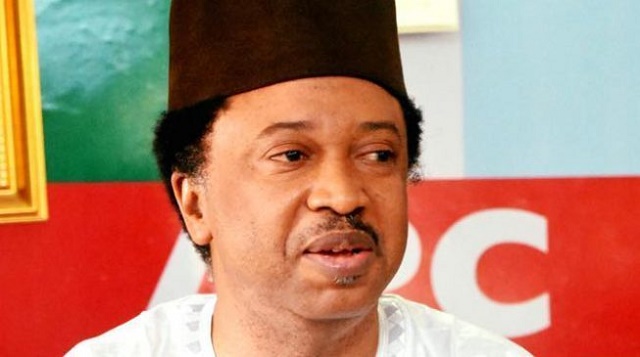 Heartbroken Senator, Shehu Sani, Reveals a Shocking Secret, Sets to Announce a New Party