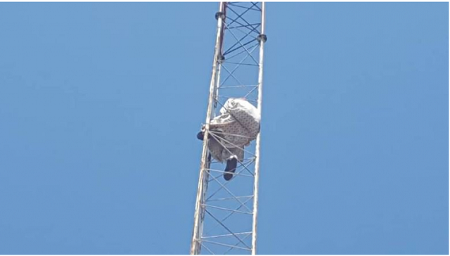 Serious Drama As Man Climbs Telecom Mast To Protest 'Land Encroachment' By Atiku's AUN