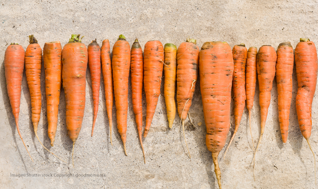 Top 10 Foods You Need To Eat For Healthy Teeth and Gums