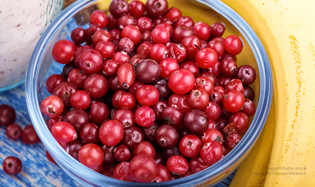 Top 10 Foods You Need To Eat For Healthy Teeth and Gums