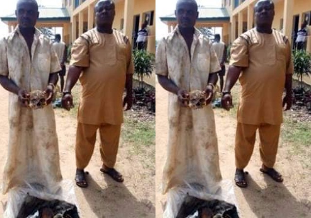Osun Businessman and Herbalist Caught With Human Skull [Photos]