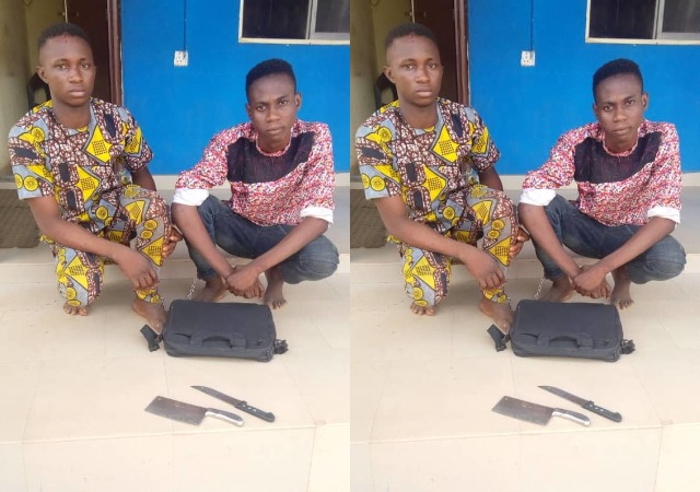 Young Robbers Who Attacked Lecturers in Ogun State Arrested [Photo]