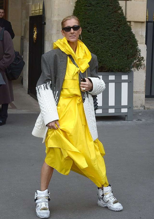 Céline Dion Shocks Her Fans With More Bizarre Fashion Statement After 