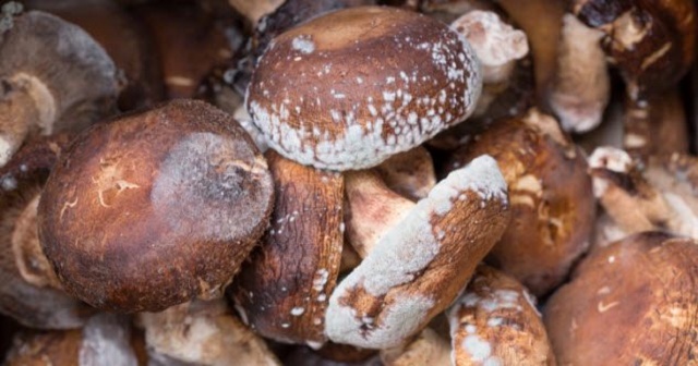 10 Popular Foods That May Like Kill You If You Are Not Careful