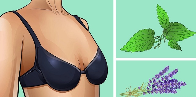 Use These Two Ingredient At Home to Tighten a Saggy Breasts within 14 Days
