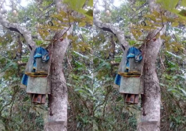 OMG! Jealous Uncle Uses Charm [JUJU] To Facilitate Deportation of His 7 Nephews