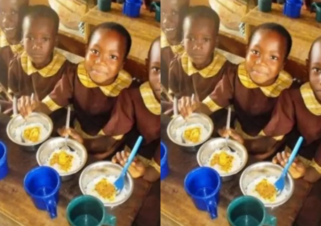 We Feed Public Schools Pupils with 594 Cattle, 138,000 Chickens, 6.8m Eggs Weekly – Osinbajo