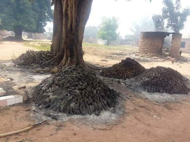 Sad! Unknown Persons Destroy Hundreds of Yam Tubers in Benue Last Night [Photos]