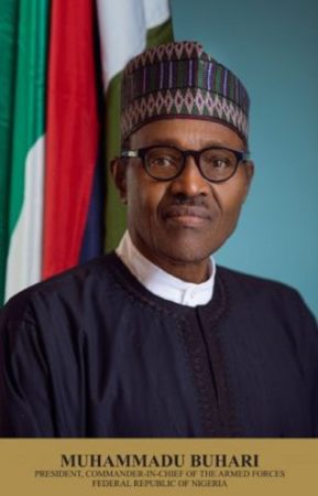President Buhari Approves New Official Portrait