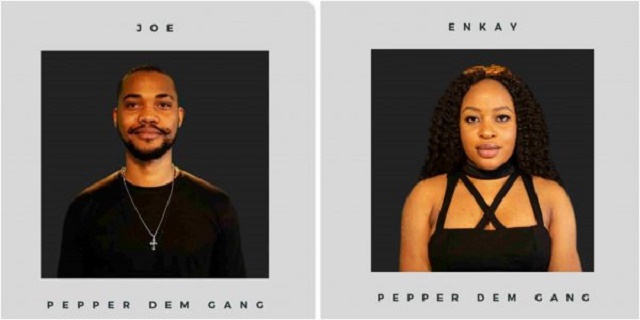 #BBNaija: How Nigerians Voted For Their Favorite Housemates [Photo]