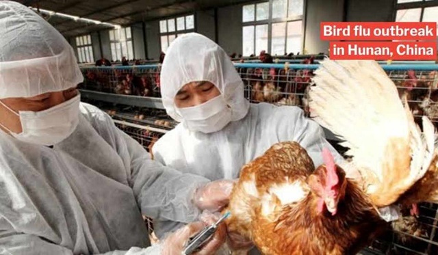 Another Deadly Flu Called H5N1 Bird Flu Hits China 